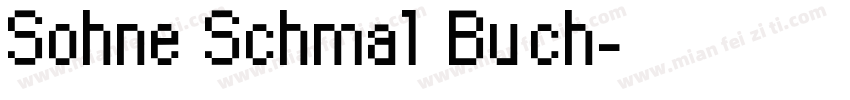 Sohne Schmal Buch字体转换
